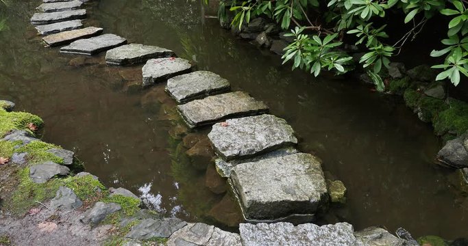 Stepping stones over the pond