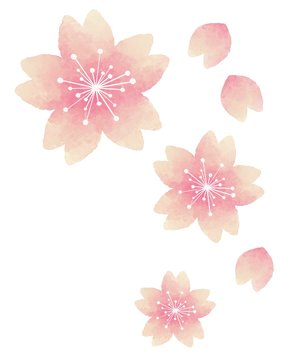 桜の花　飾り　水彩風イラスト