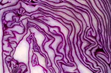Cut red cabbage close-up.