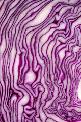 Fototapeta premium Cut red cabbage close-up.