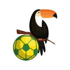 sport ball soccer with toucan isolated icon