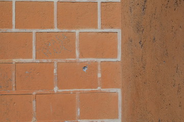 Obraz premium Grunge orange brick wall texture, front view
