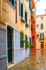 Venice, Italy. Narrow brick/ cobble/ stone street alley with colorful homes in residential neighborhood. Hanging potted flower pots & plants on glass windows with wooden shutters and burglar bars.