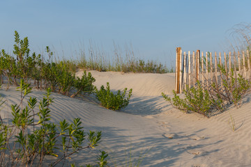 A typical wooden fence along the barrier sand dunes designed to keep tourists and children away from protected sandy areas.