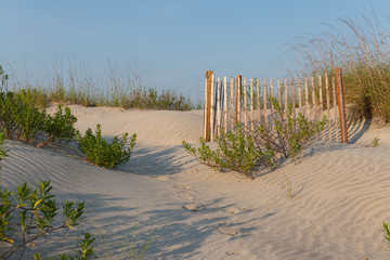 A typical wooden fence along the barrier sand dunes designed to keep tourists and children away...