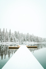 Winter Dock