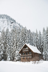 Naklejka premium Winter Wonderland Cabin