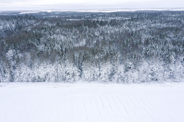 scenic winter landscape with forest edge, snow-covered fields and cloudy sky. aerial view