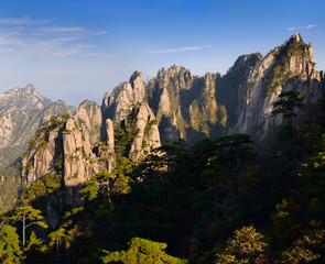 Fototapeta na wymiar Pine trees at The Eighteen Arhats Worshipping at South Sea and Camel Back Peak at Yellow Mountain Huangshan China