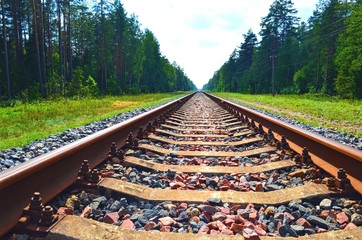 railway running into the distance, surrounded by forest on both sides