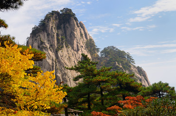 Pijnbomen en gele en rode herfstbladeren bij Fairy Maiden Peak op Huangshan Mountain China
