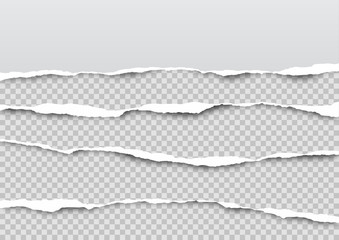 Torn paper on transparent background with space for text. Vector illustration.	