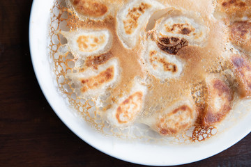 Japanese Food, Gyoza on a plate