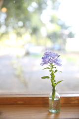 purple flower in jar on wood background in japanese restuarant
