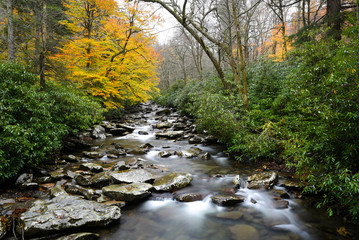 Creek in the Smokey Mountains