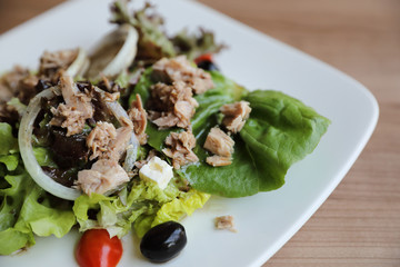 Tuna salad appetizer on wood background