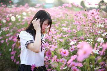 Portrait of Japanese school girl uniform with pink cosmos flower