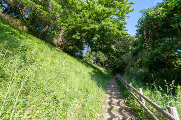 富塚八幡緑地（横浜市戸塚区）