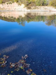 reflection of trees in water