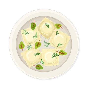 Stuffed Dumplings Served on Ceramic Plate with Greenery Top View Vector Illustration