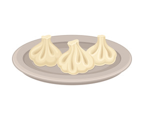 Cooked Dumplings Served on Ceramic Plate Side View Vector Illustration