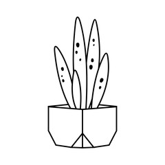 Cactus and succulent line style cartoon vector illustration. Decorative flower plant in pot. Isolated icon cacti