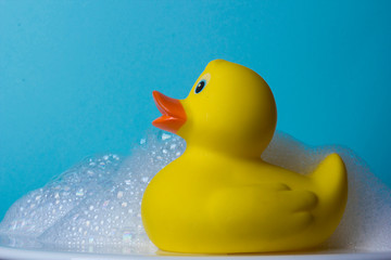 Yellow rubber duck