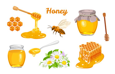 Honey set. Honeycombs, bee, honey in glass  jar, wooden honey dipper, honey in metal spoon and flowers isolated on white background. Vector illustration of organic natural sweets in cartoon flat style
