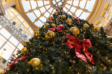 Weihnachtsbaum