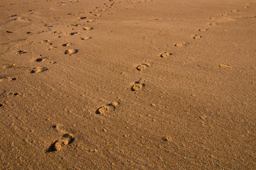 Footprints Crossing over Clean Beach Sand