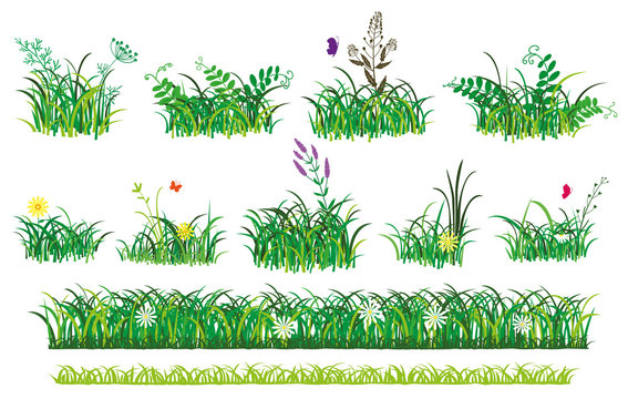 Green grass and flowers. Bunch of grass with tall plants. Daisy flowers in the grass. Vector drawing.