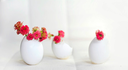 Easter Decoration - Red Kalanchoe Flowers   in an Egg Shell 