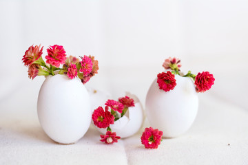 Easter Decoration - Red Kalanchoe Flowers   in an Egg Shell 