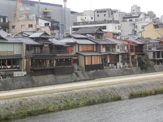 Obraz premium Traditional Japanes buildings lining the Kamo river in Kyoto