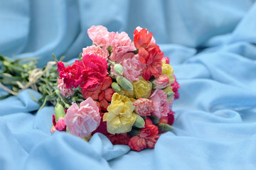 beautiful bouquet of colorful flowers carnation on a blue fabric background