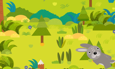Fototapeta na wymiar cartoon forest scene with wild animal rabbit hare illustration