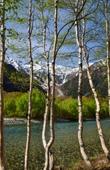信州 上高地　新緑の季節