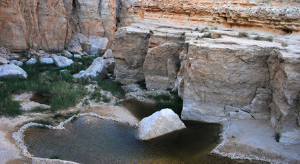 pond in an oasis in  desert