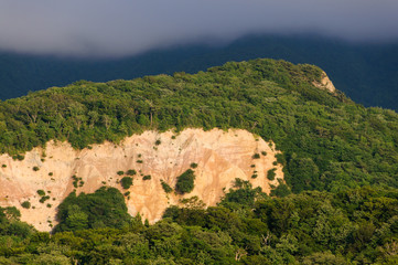 日本キャニオン