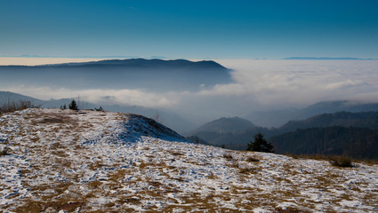 Schwarzwaldidylle nahe des Buchkopfturmes oberhalb von opopenau