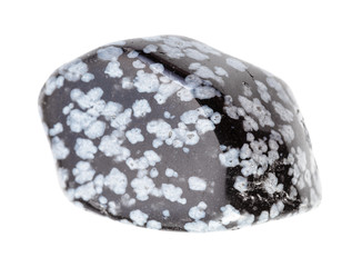 polished Snowflake Obsidian gem stone isolated
