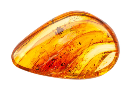 polished Amber gemstone with inclusions isolated