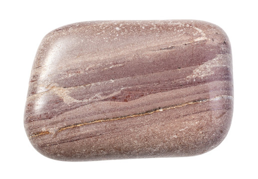 polished Argillite rock isolated on white