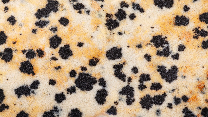 panoramic background from polished Dalmatian Stone