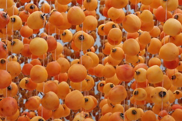 Japanese Dried Persimmon (Hoshigaki) hanged on strings to dry a common sight