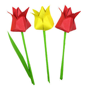 Set of paper handmade tulip flowers