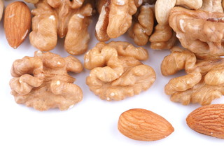 different nuts on a white background