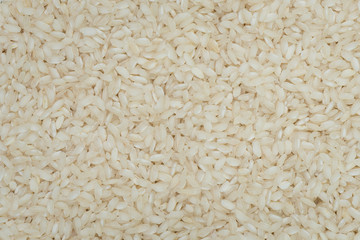 Top view japan rice for food background