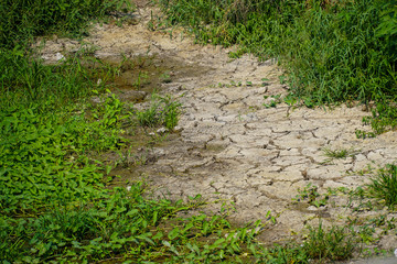 Dry canal because arid, Bangkok Thailand