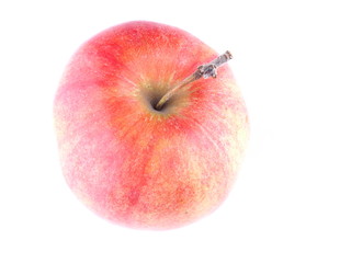 red apple on a white background